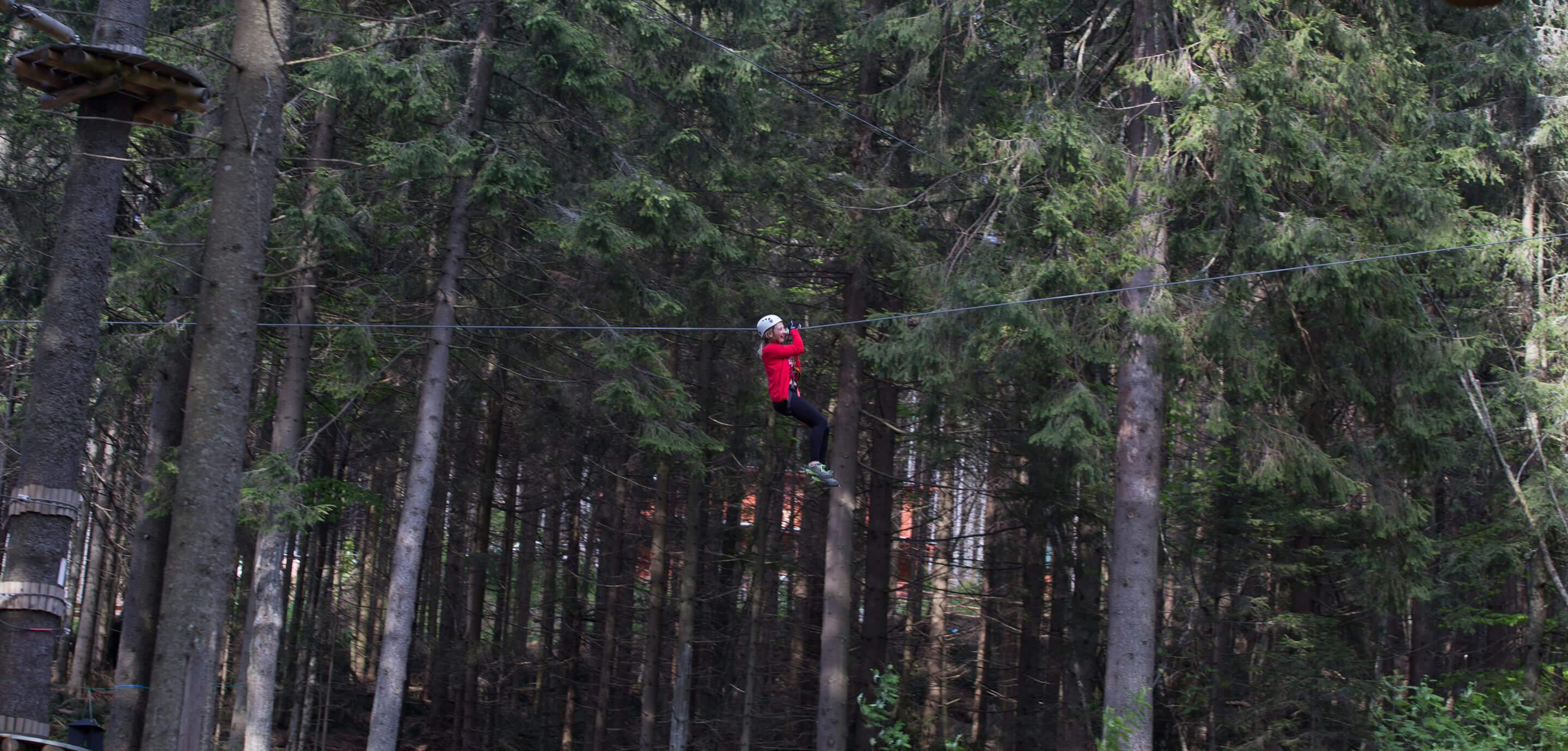 Office - Mures - Birds on a wire in a park - zipline adventures in Harghita